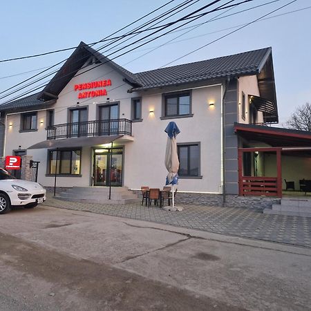 Pensiunea Antonia Sighetu Marmatiei Bagian luar foto