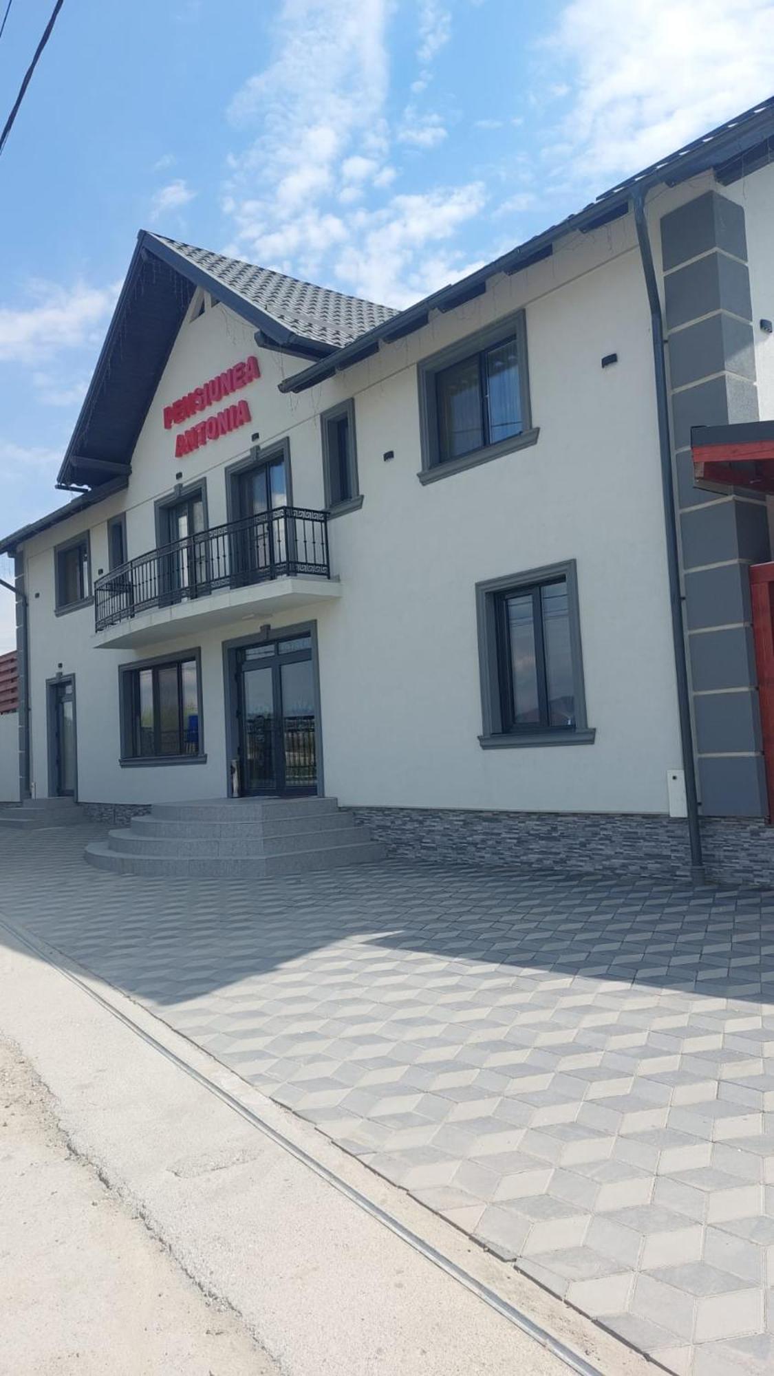 Pensiunea Antonia Sighetu Marmatiei Bagian luar foto