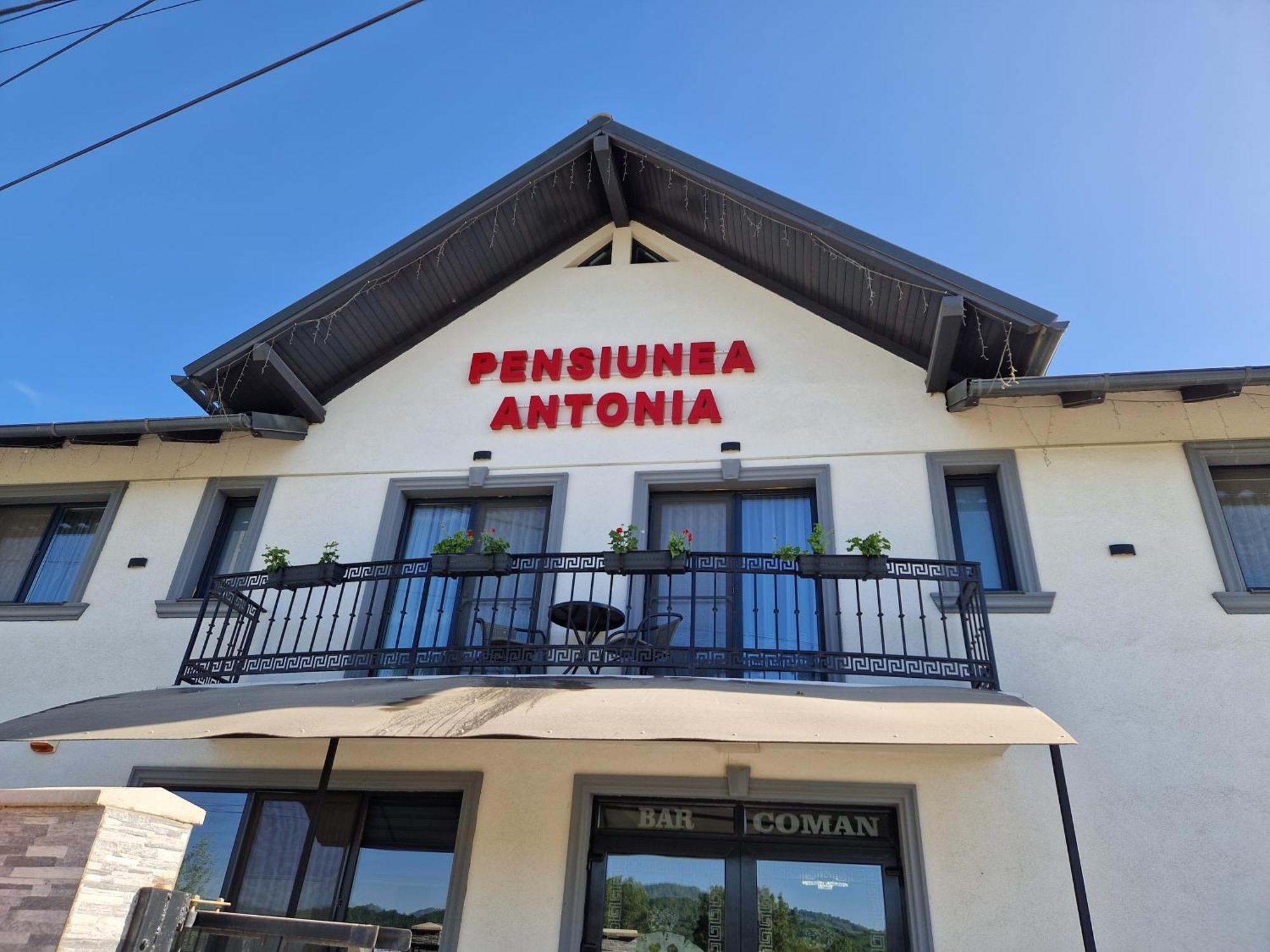 Pensiunea Antonia Sighetu Marmatiei Ruang foto