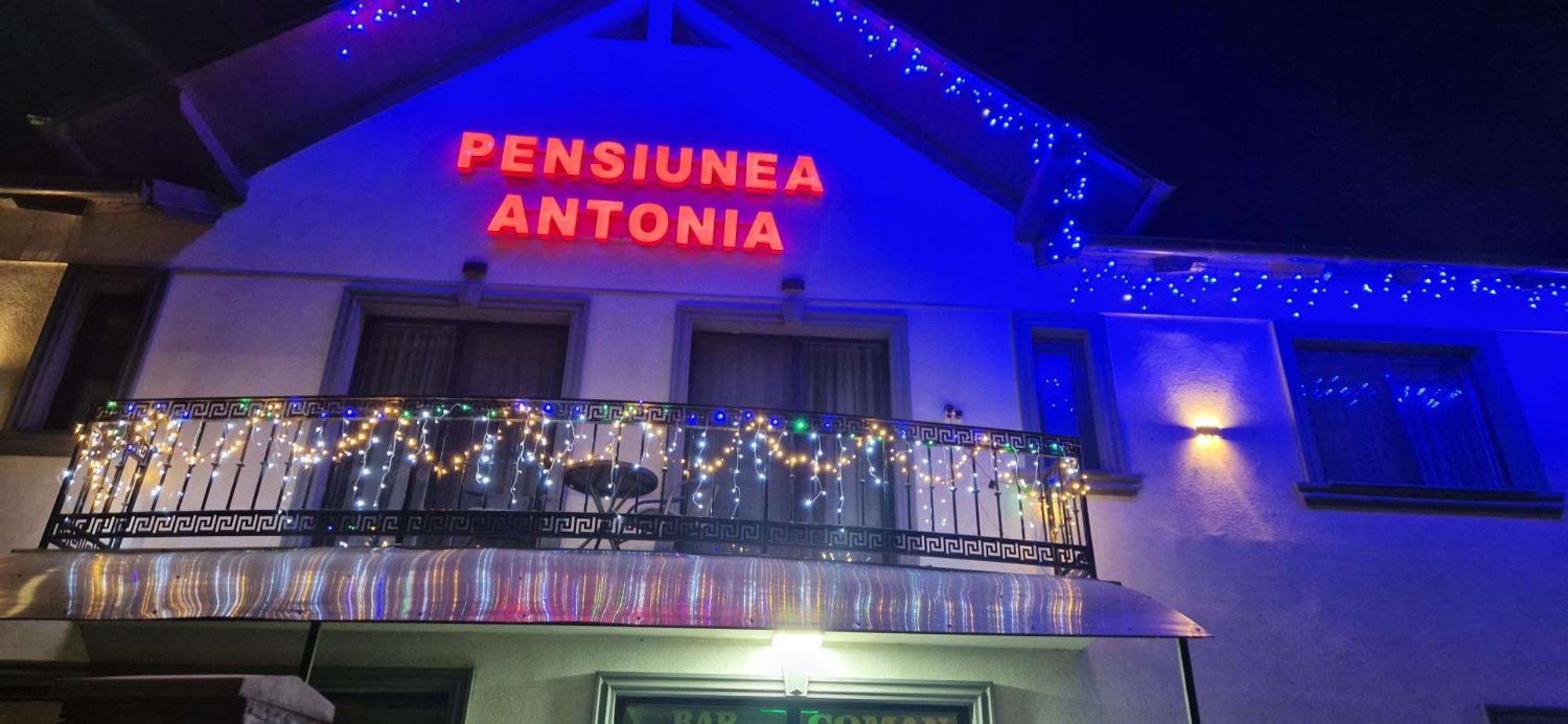 Pensiunea Antonia Sighetu Marmatiei Bagian luar foto